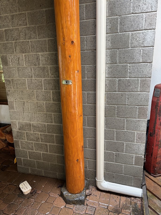 After - clean logs after washing and rinsing