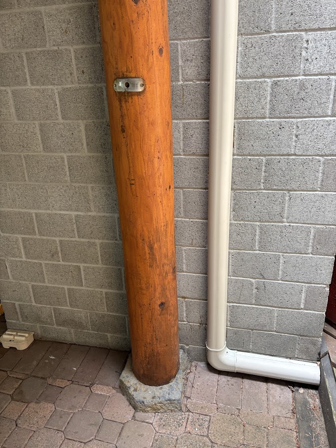 Before - mould and dark streaking on logs